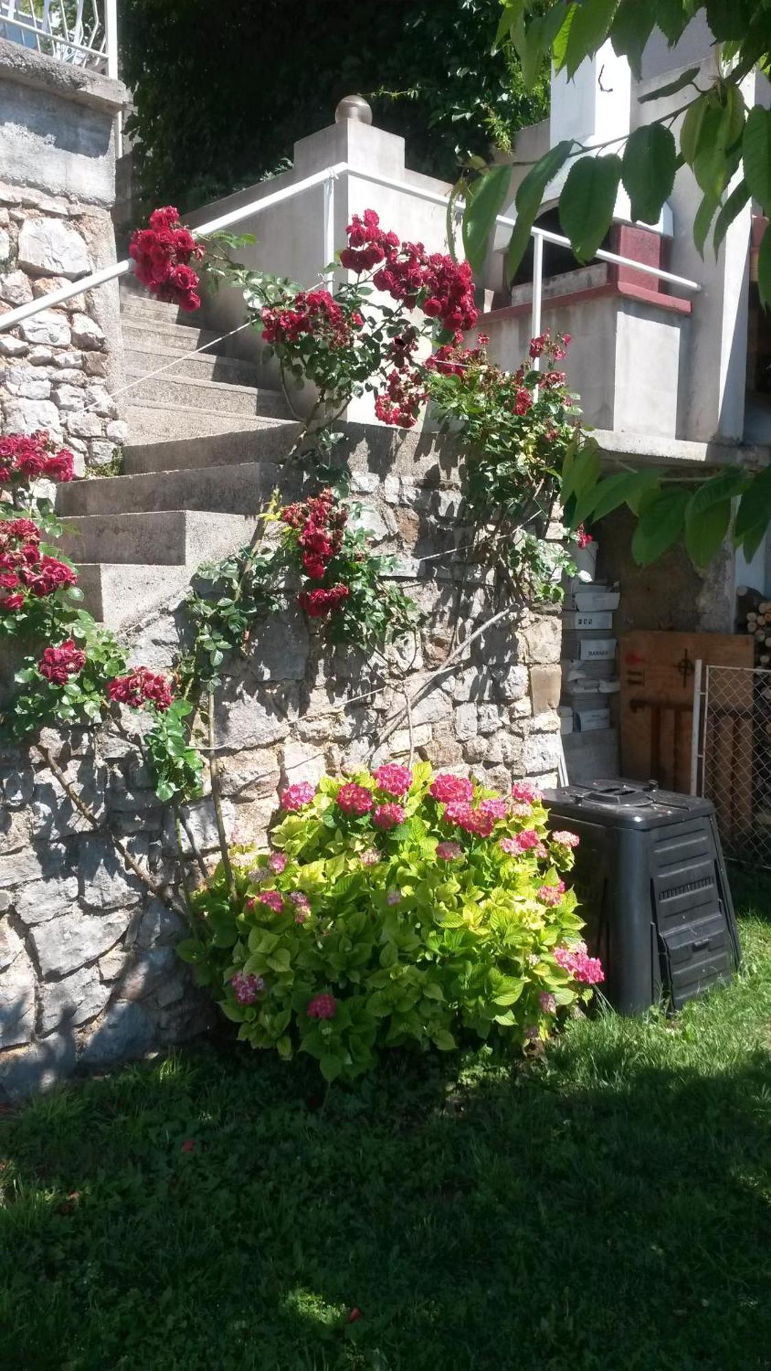 Apartmani Silvana&Vera Senj  Exterior photo